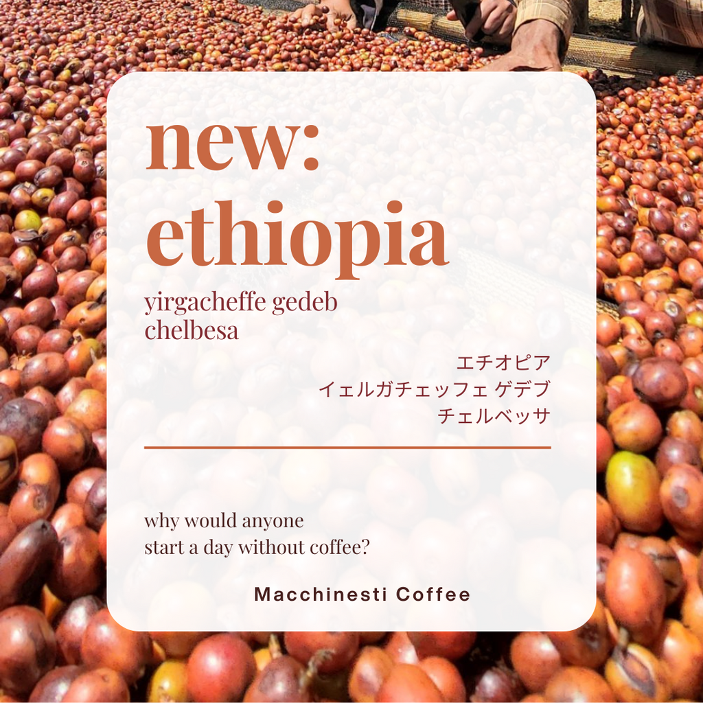 🆕 エチオピアからのコーヒー豆：新発売のお知らせ
