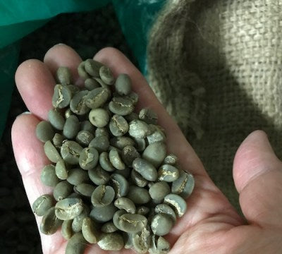 オーガニック：インドネシア「フローレス島コーヒー豆」