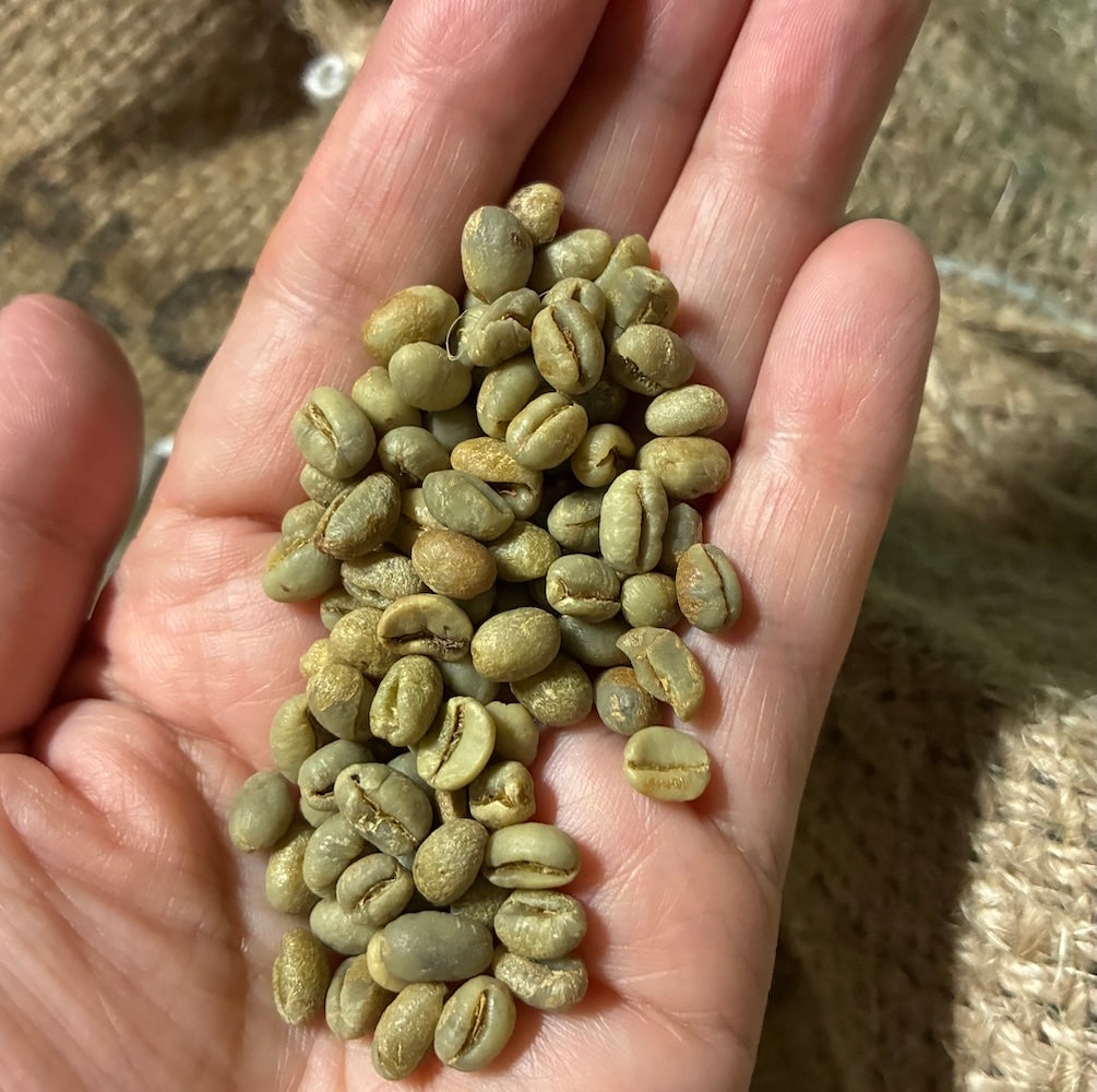 「ブラジル」・Mantiqueira de Minas, Yellow Bourbon, Peaberry
